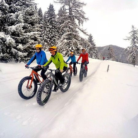 Bio-Holzhaus und Landhaus Heimat Ramsau am Dachstein Exterior foto