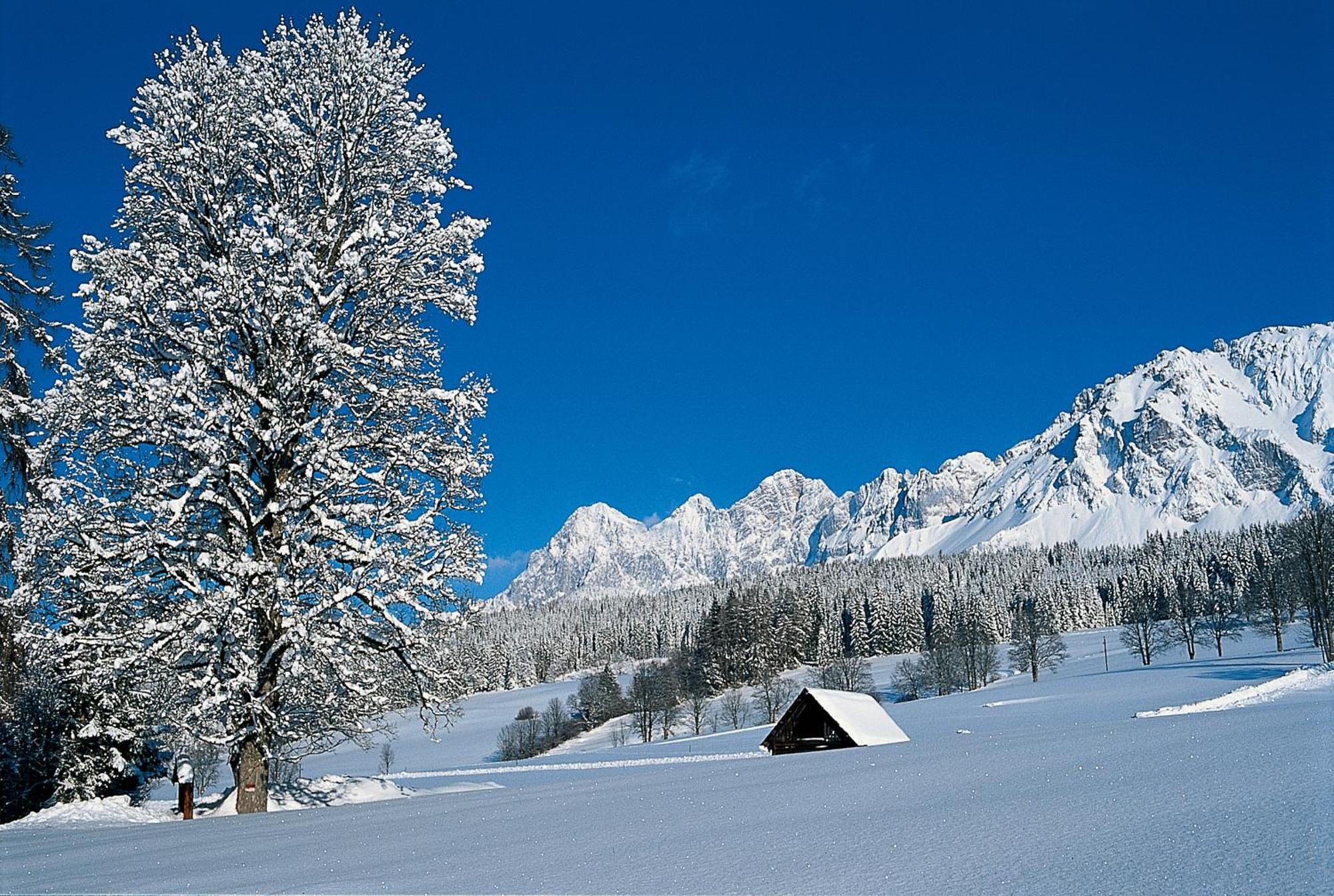 Bio-Holzhaus und Landhaus Heimat Ramsau am Dachstein Exterior foto