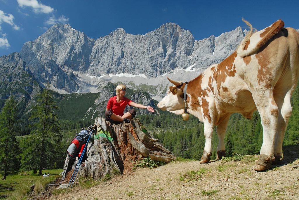 Bio-Holzhaus und Landhaus Heimat Ramsau am Dachstein Exterior foto