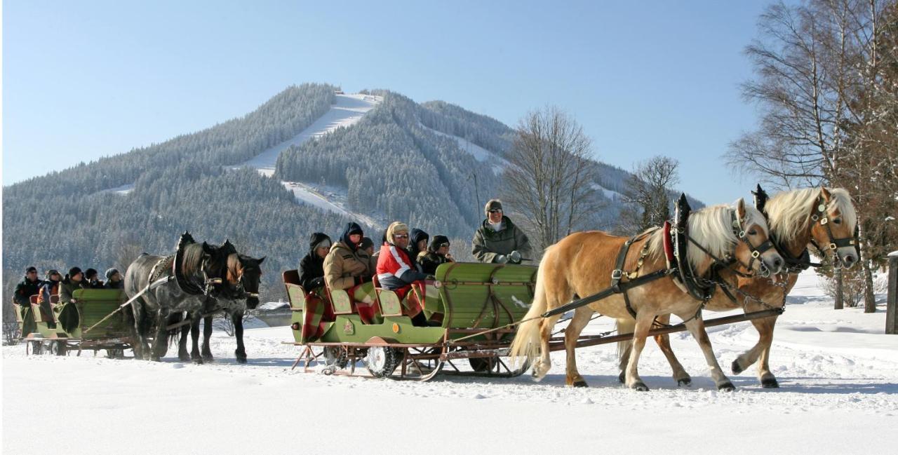 Bio-Holzhaus und Landhaus Heimat Ramsau am Dachstein Exterior foto